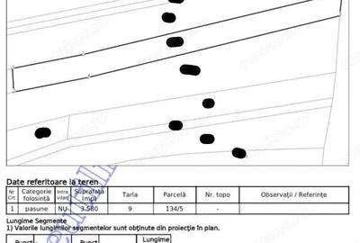 Teren extravilan pasune Ardeoani, ID: R2404618 - 9