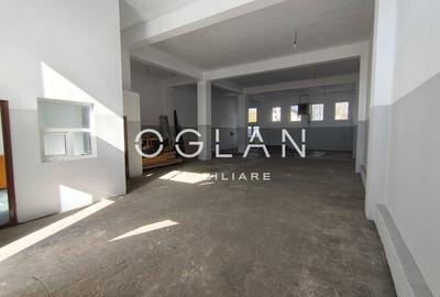 Spatiu comercial 450 mp (P+E)- zona Terezian - 13