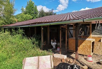 Casă cu 5 camere cu Teren 6800 Mp în Hărțăgani - 3