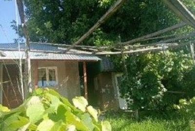 Casă cu 3 camere cu Teren 1096 Mp în Cășăria - 7