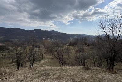 Teren în Micloșanii Mici - 1