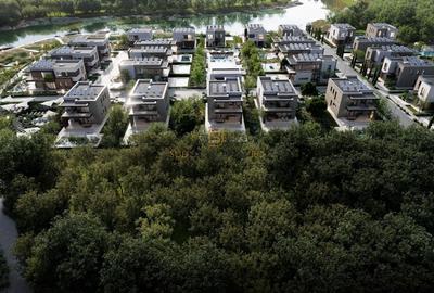 Teren Construcții intravilan de 23761 mp, în Siliștea Snagovului - 5