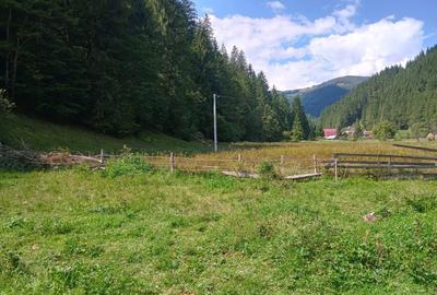 Spațiu comercial, în Petrești - 8