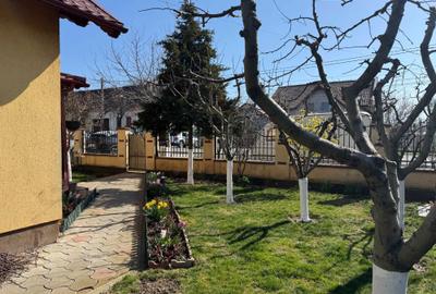 Casă cu 3 camere în Șag - 2