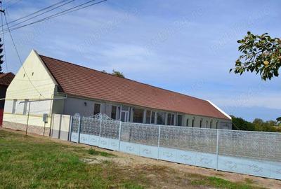 Casa Peciu Nou renovata 270 mp utili,4330 mp teren front 25 ml - 1