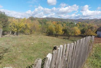 Teren de 3500 mp, în Berevoești - 7