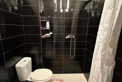 Inchiriere Apartament o camera - Valea Lupului - 5