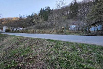 Casă cu 4 camere cu Teren 1887 Mp în Tisa - 19