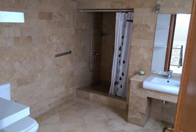 Vila de inchiriat - Pipera (cortina North) - Aviatiei - 17