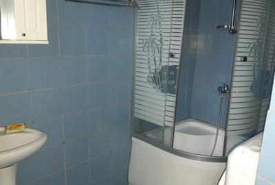 Casa modesta, locuibila, toate utilitatile, Chitila-Bucurestii Noi.73000E - 10