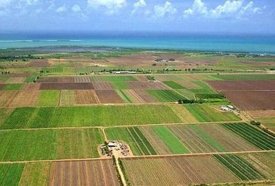 Spațiu comercial, în Cil - 1