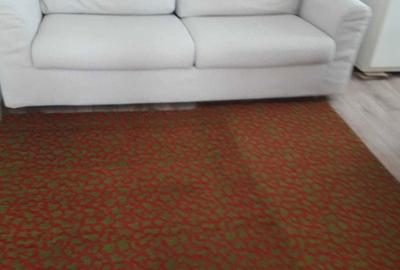 Casă cu 2 camere în Siretu - 3