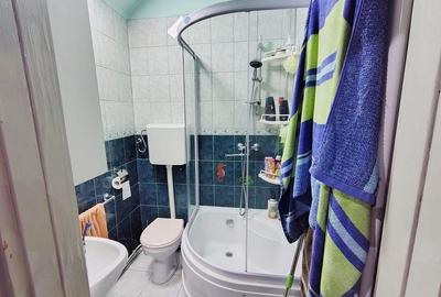 Casa individuala S+P+M cu teren 1723 mp, zona linistita, in Grigorescu - 20