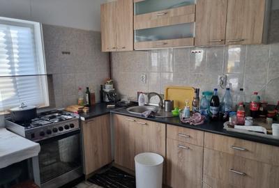 Vand casa la curte Voluntariul vechi - 4