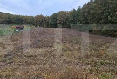 Teren de 2882 mp, în Bejan - 4