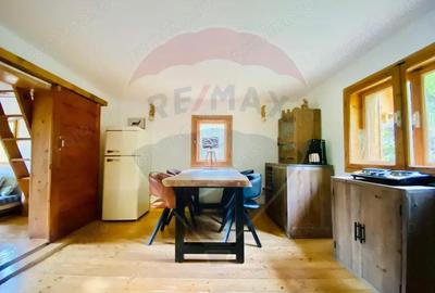 Casă cu 2 camere cu Teren 645 Mp în Sub Piatră - 8