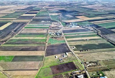 Teren Industrial cu P.U.Z. - 13