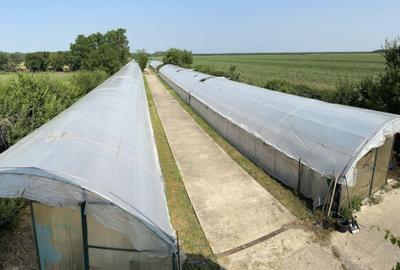 Casă cu 3 camere în Bujoreanca - 1