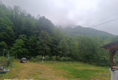 Casă individuală cu 3 camere cu Teren 1046 Mp în Hărțăgani - 5