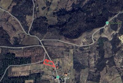 Spațiu comercial, în Tomești - 7