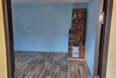 Casa de vanzare in Seaca Calimanesti la drum DN 7(E 81) - 10