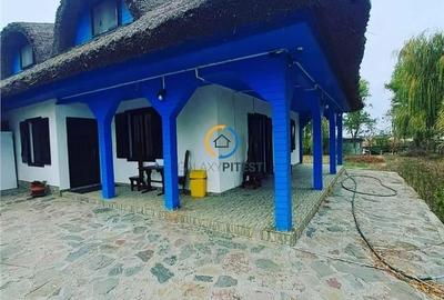 Casa traditionala / Pensiune  P+1, 9 camere, judet Tulcea, localitatea Partizani - 4