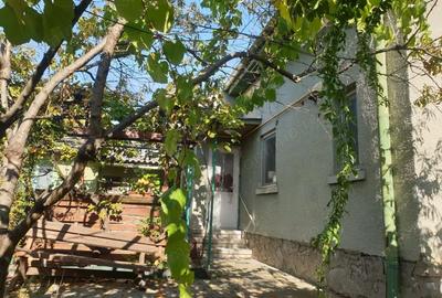 Casă cu 4 camere cu Teren 1400 Mp în Mehala - 4