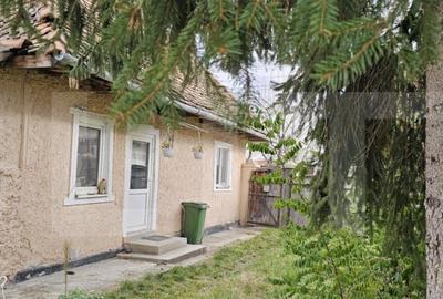 Casa ?araneasca in centrul localita?ii Ilieni te - 1