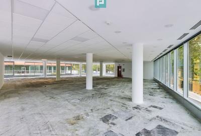 Spatiu birouri clasa A zona de nord, Herastrau. - 2