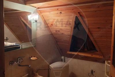 Casa - Cabana de vanzare in Firiza - 16