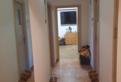 Apartament 2 camere decomandat  Bloc anvelopat  Zona Gorjului – Valea Lungă - 9