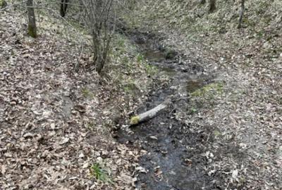 Teren în Central - 8