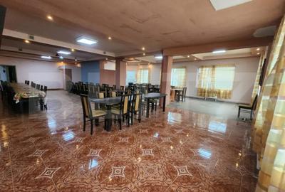 Casă cu 9 camere cu Teren 1500 Mp în Criș - 16