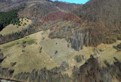 Teren agricol extravilan de 16466 mp, în Mara - 11