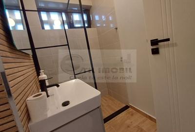 Apartament 2 camere de inchiriat renovat complet Podu Ros, Iasi - 14