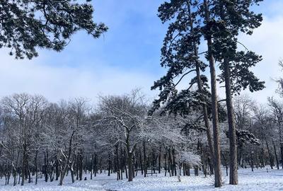 Spațiu comercial, în Teslui