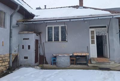 Casă cu 2 camere în Mănăstireni - 4