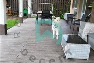 Casa 5 camere Stupini - 28