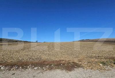 Teren extravilan, 17.000 mp, zona Almasu Mic - 3