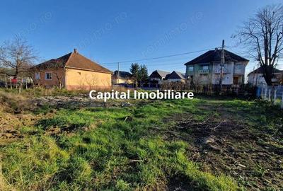 De vanzare: Teren 25 ari parcelabil, in Sasar - 3