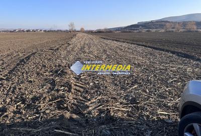 Teren Construcții intravilan de 600 mp, în Șard - 4