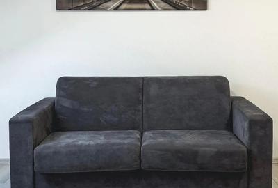 Ofer spre inchiriere STUDIO Modern si Primitor - 4