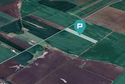 Teren 30.000 mp cu acces asfaltat – Peciu Nou - 1