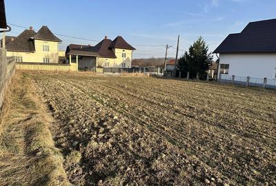 Spațiu comercial, în Horodnic - 3