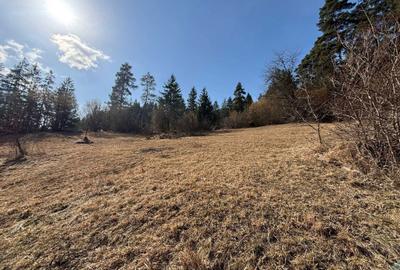 Spațiu comercial, în Ceahlău - 2