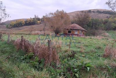 Teren plan 4800 mp cu casa demolabila, centru Corpadea, Apahida - 6