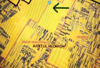 Teren agricol extravilan de 10000 mp, în Gârbovi - 2