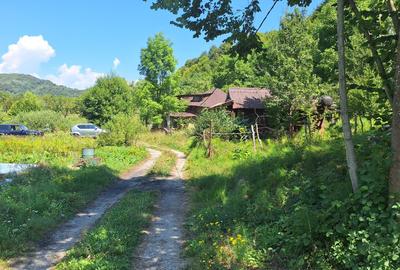 VANZARE ANSAMBLU CASUTE BRADULET ARGES - 15