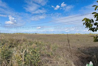 Teren 30 hectare, 500 m deschidere la A1, langa Bolentin Val - 1