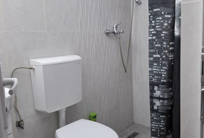 Garsoniera noua, moderna, gaz, intrare separata, curata, la curte, 300 euro - 13